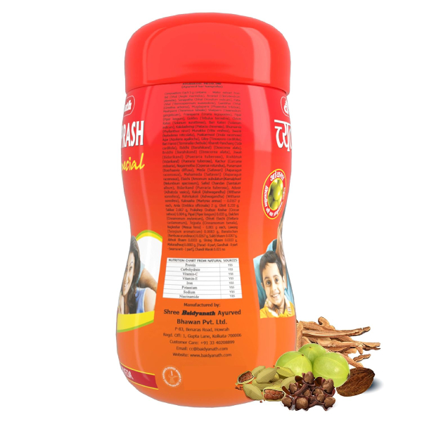 Baidyanath Chyawanprash Special 250 Gms view 2