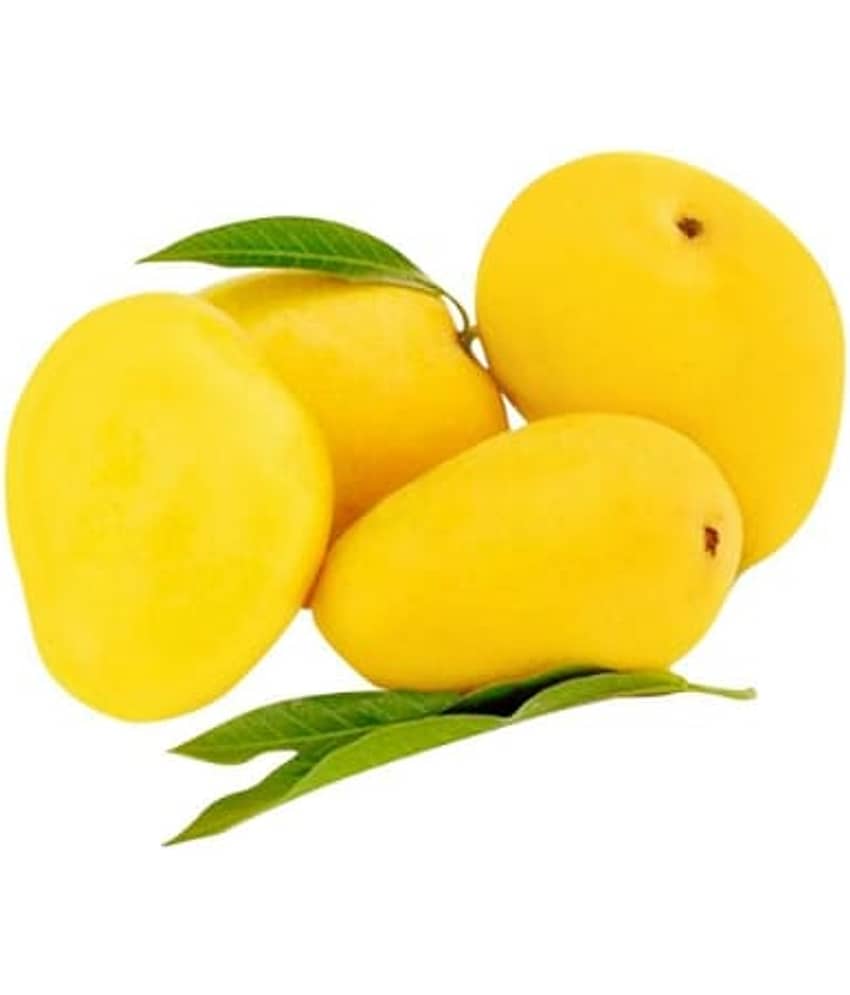 Cloud Farm Outdoor Fruit Plant ( Pack of 1 ) view 2