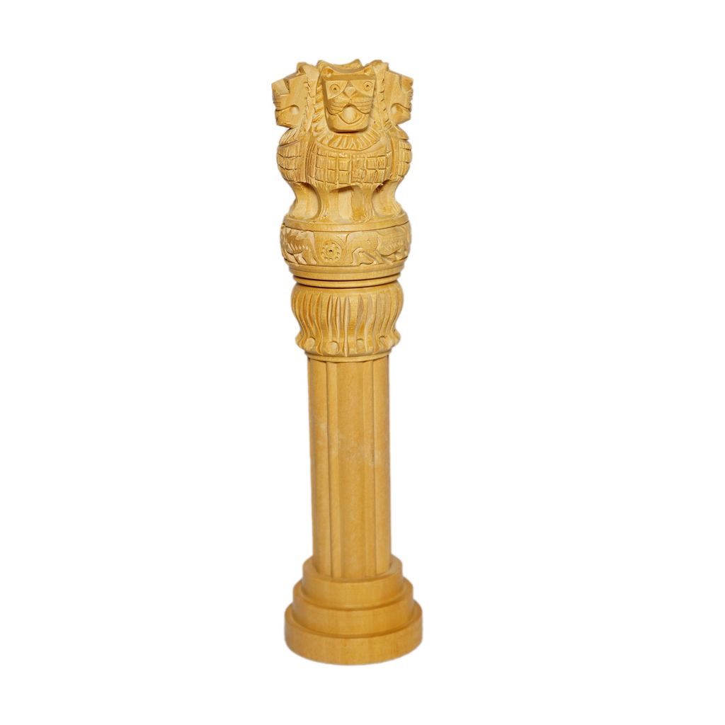 ASHOKA PILLAR 8 view 2