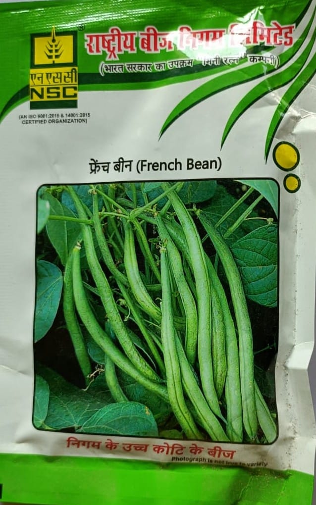 NSC French Bean Seeds - Premium Quality Vegetable Seeds view 2