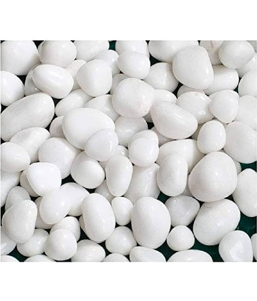 VANNEF Stone Small White Decorative Pebbles for Garden & Home Decor (White, 1Kg)