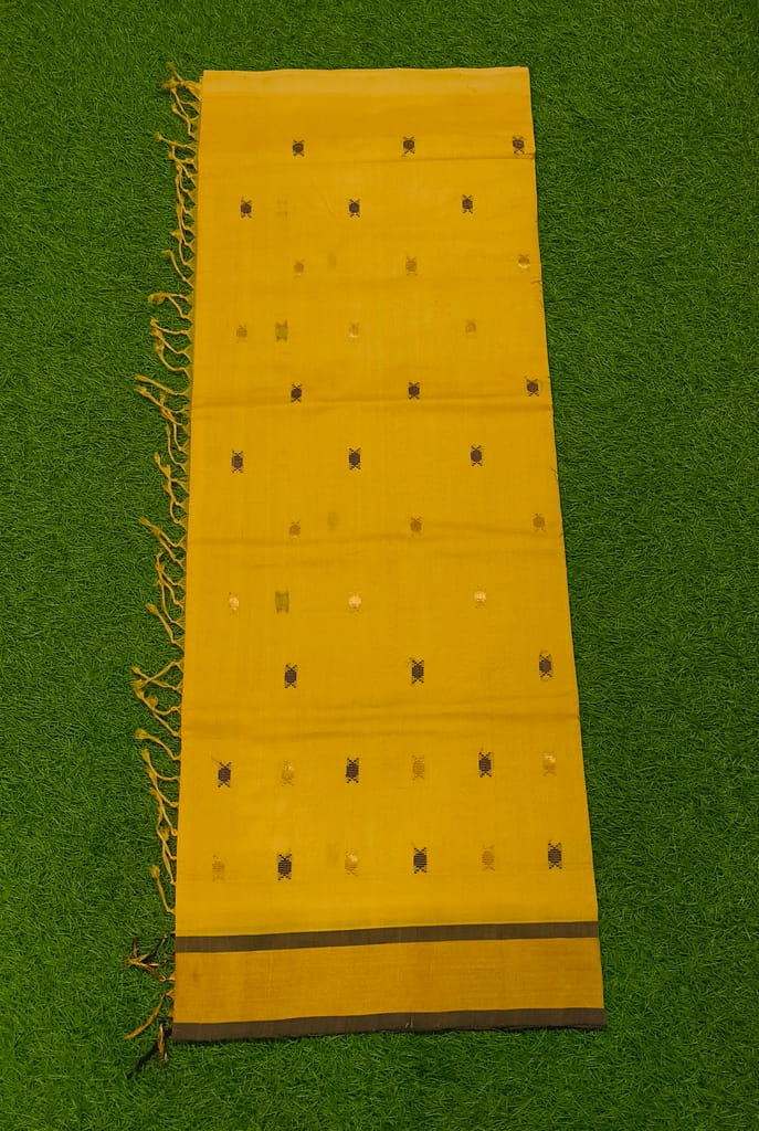 MORI HANDLOOMS COTTON SEIKO SAREE