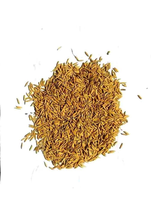 Paddy - 1 kg view 2