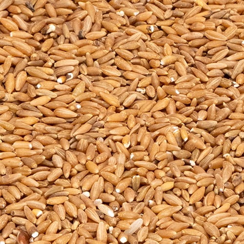 Millnuts - Bamboo Rice | Moongil Rice view 2