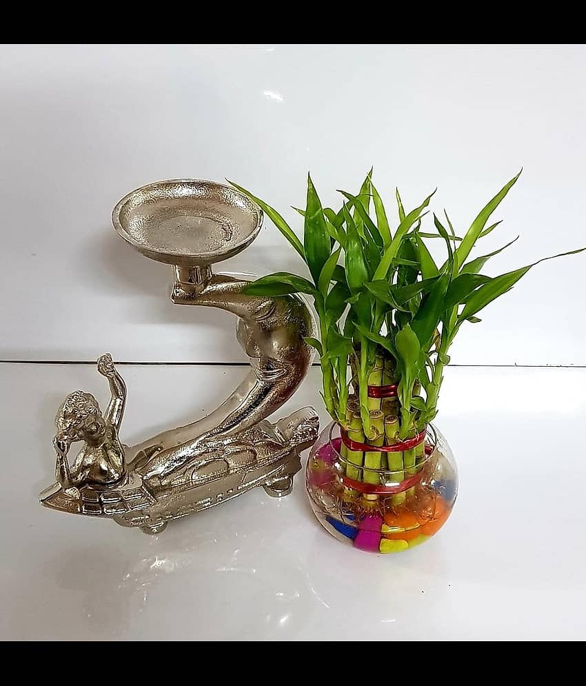 R.R.V. International Indoor Bamboo Plant ( Pack of 1 ) view 2