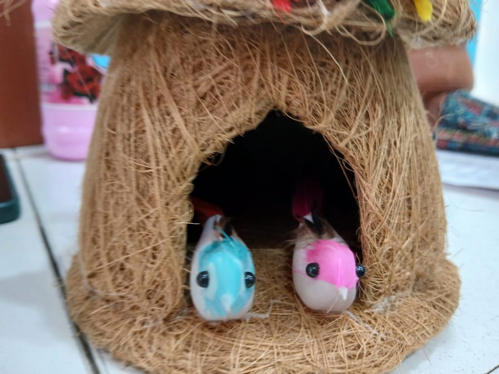 Coco fiber Birds Nest view 2