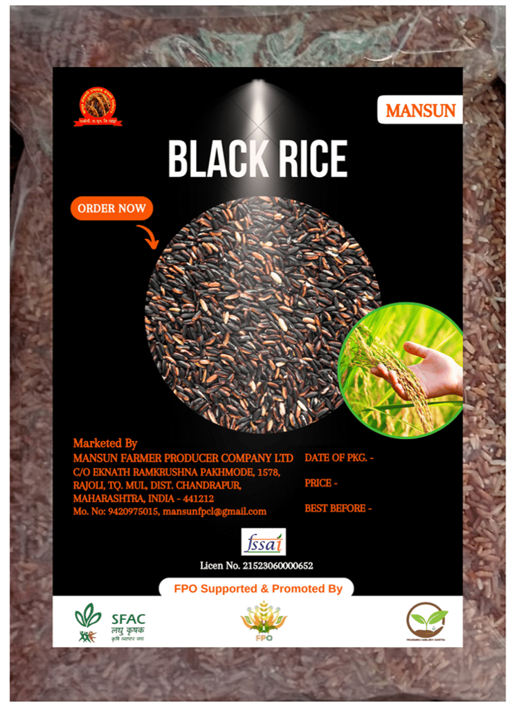 Black Rice view 2