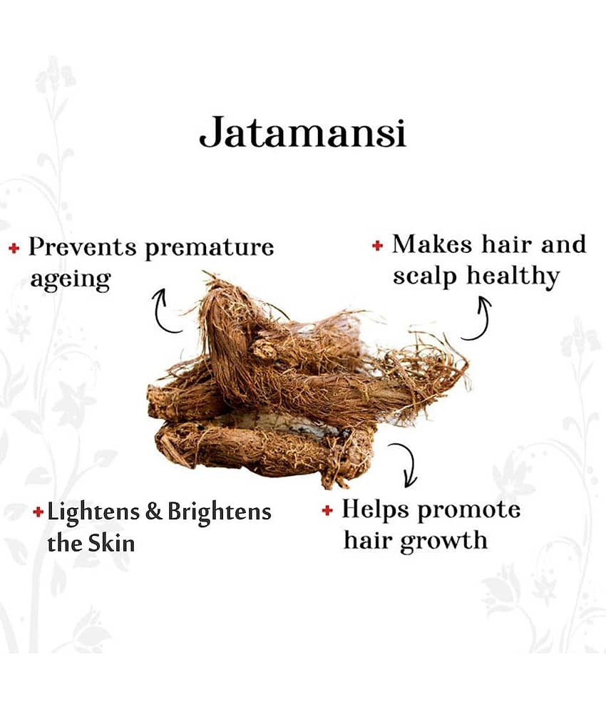 100% Organic Natural Jatamansi Powder for Hair Care view 2