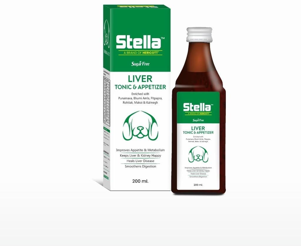 Liver Tonic For Dog: Syrup for Improved Liver Health