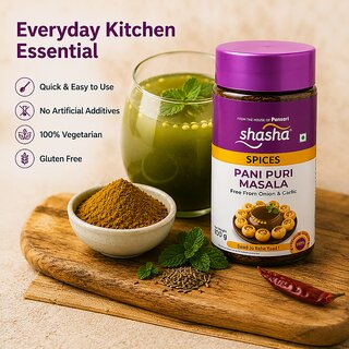 Shasha Pani Puri Masala - 100gm view 2