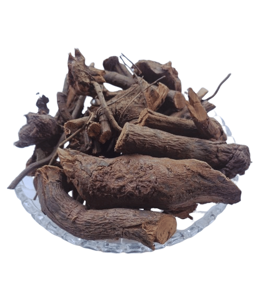 Nutrixia Food Chitrak Roots - Chita Mool - Chita Root-Plumbago Indica Root 50 gm