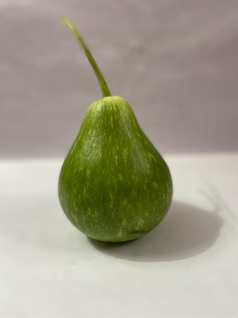 Bottle Gourd