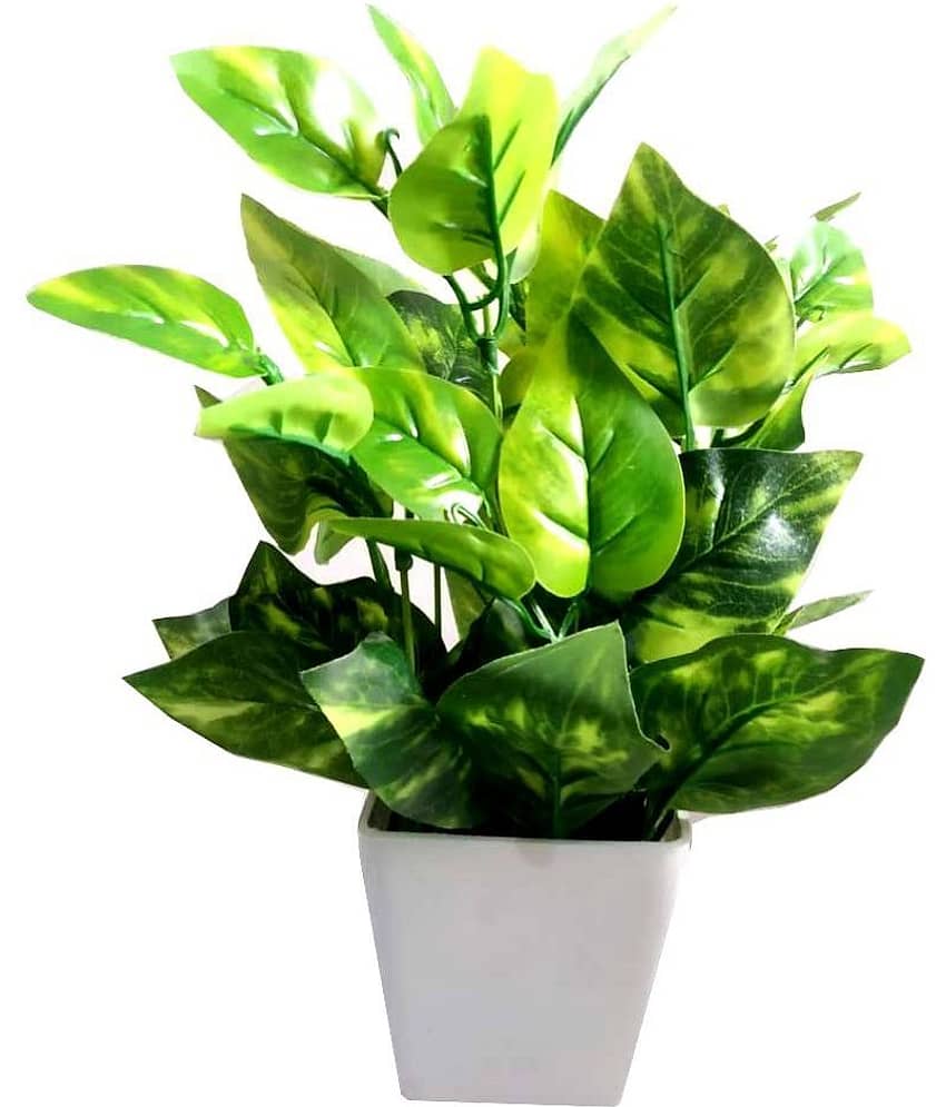 Green plant indoor Artificial Money Plant Multicolour Bonsai Plastic - Pack of 1 view 2