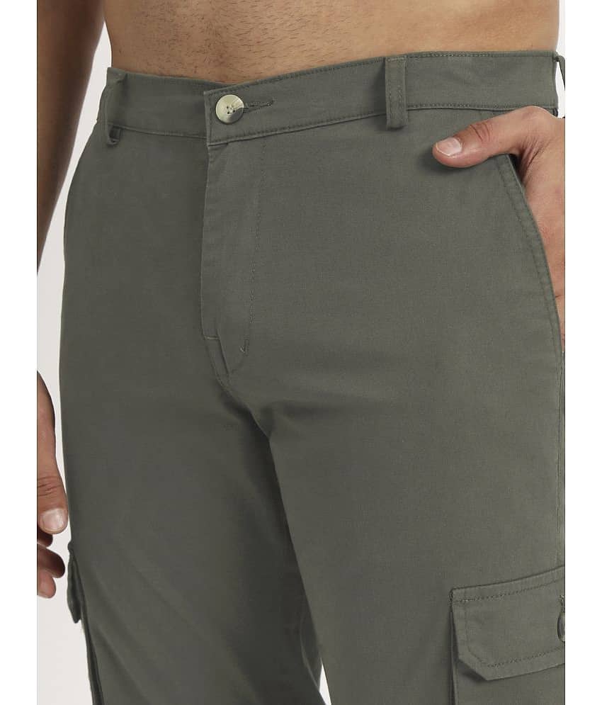 RAGZO Regular Flat Men's Cargos - Olive Green ( Pack of 1 ) view 2