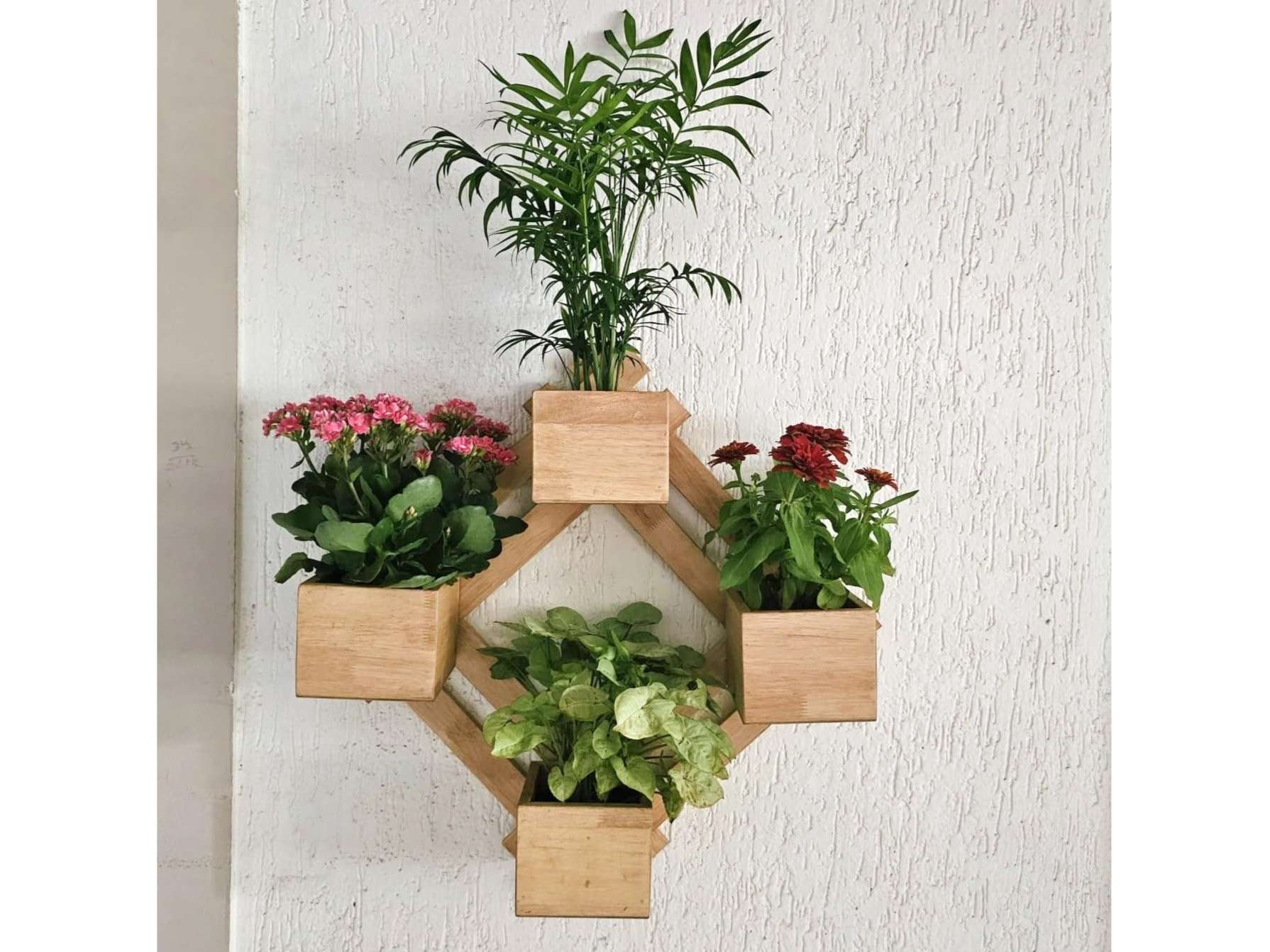 BARISH - Wall Mounted Planter - Diamond | Handcrafted with Rubberwood | Indoor Planter Frame with Stand 25" x 25" x 6" Inches - Tobacco Brown view 2