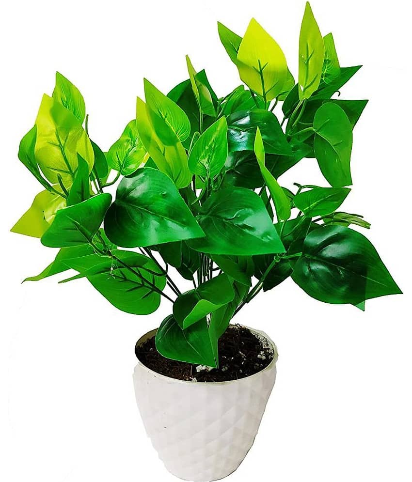 Green plant indoor Artificial Money Plants Multicolour Bonsai Plastic - Pack of 1 view 2