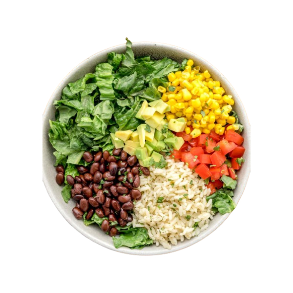 Burrito Bowl