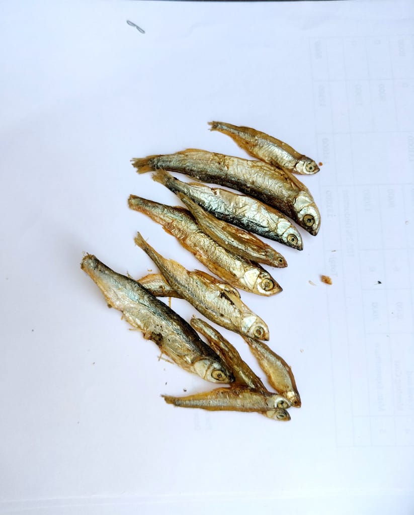 DRY FISH view 2
