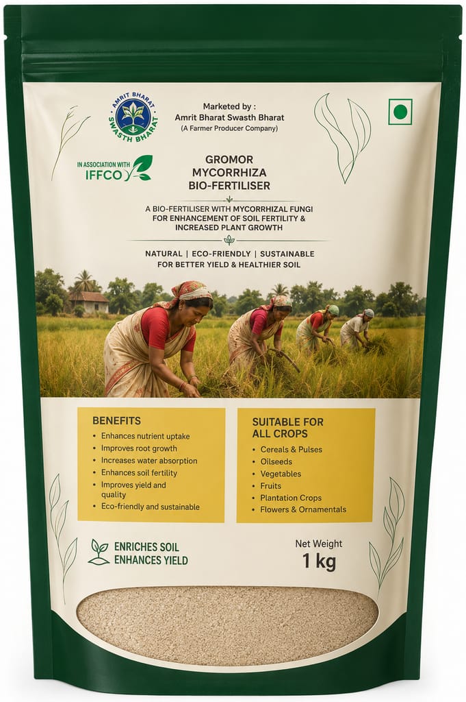 Scented Joha Rice view 2