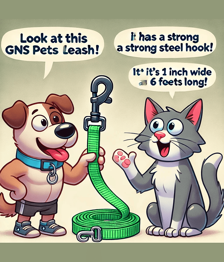GNS PETS Black Combo (Collar Belt and Leash) ( Large ) view 2