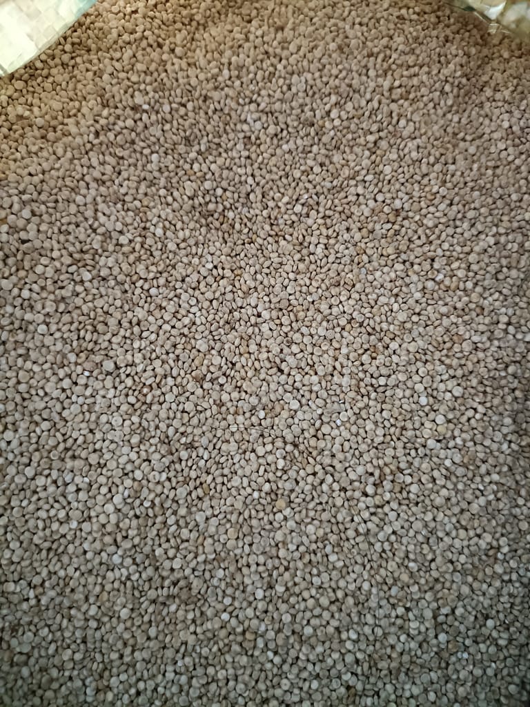 Quinoa