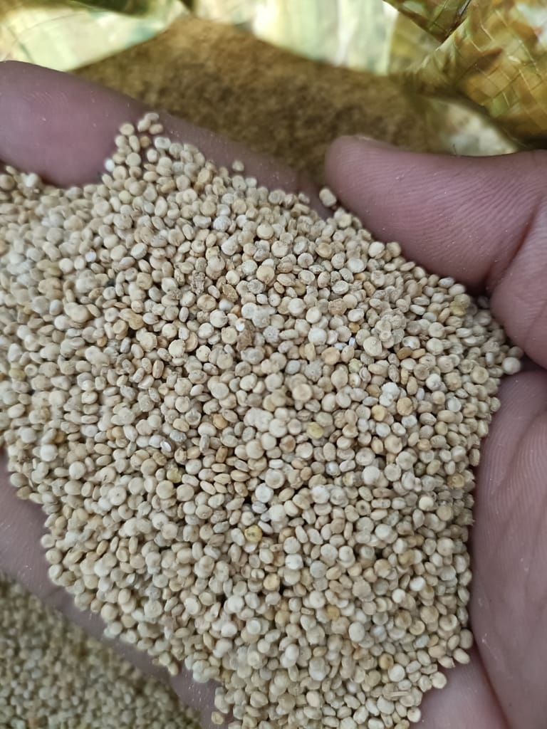 Quinoa view 2