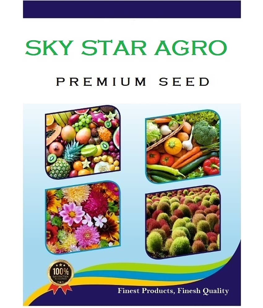 homeagro - Combo of Papaya F1 Hybrid Fruit ( 50 seed ) and Cucumber Vegetable ( 50 seed) view 2