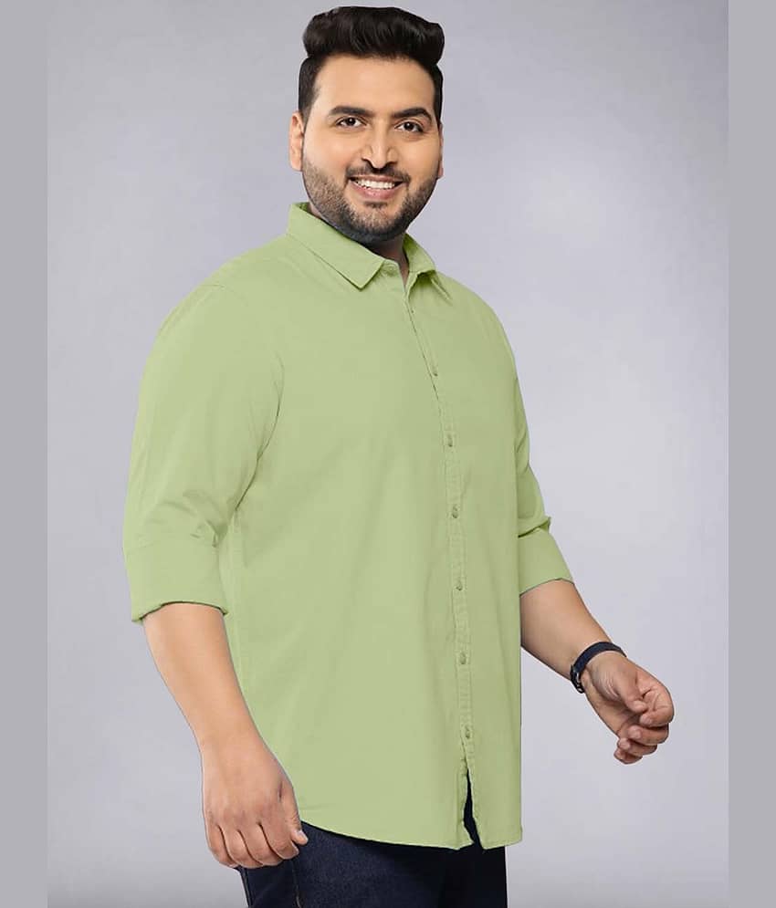 ADWYN PETER 100% Cotton Regular Fit Solids Full Sleeves Men's Casual Shirt - Green ( Pack of 1 ) view 2