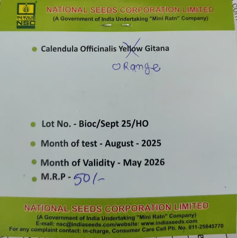 NSC Calendula Officinalis Orange Gitana Flower seed view 2