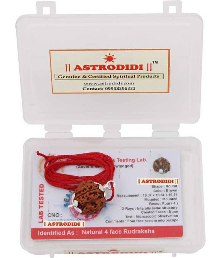 Astrodidi 4 Mukhi Rudraksha With Silver Pendant With Lab Certificate view 2