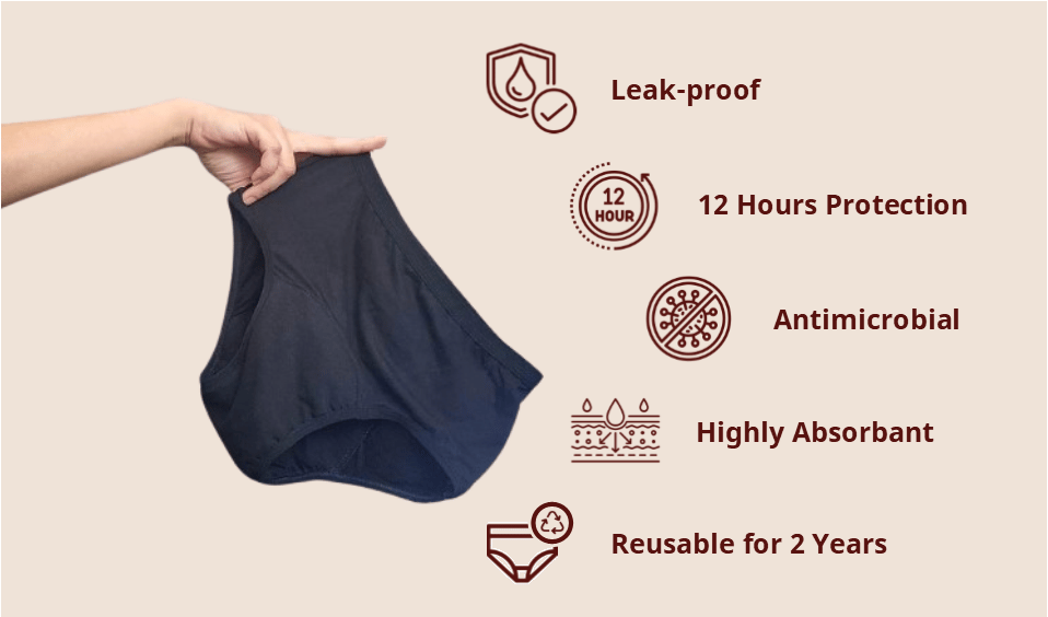 Reusable Period Panty (For Moderate to High Flow) view 2