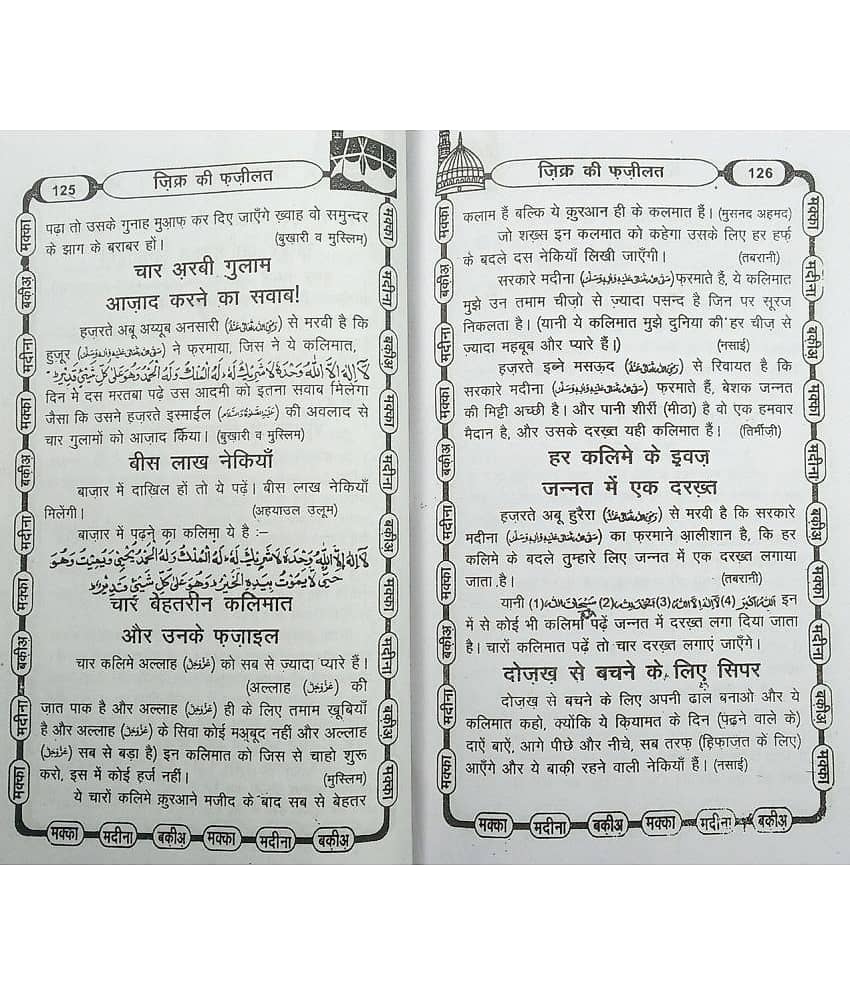 Faizane Sunnat Hindi Guide for life in sunnat way view 2