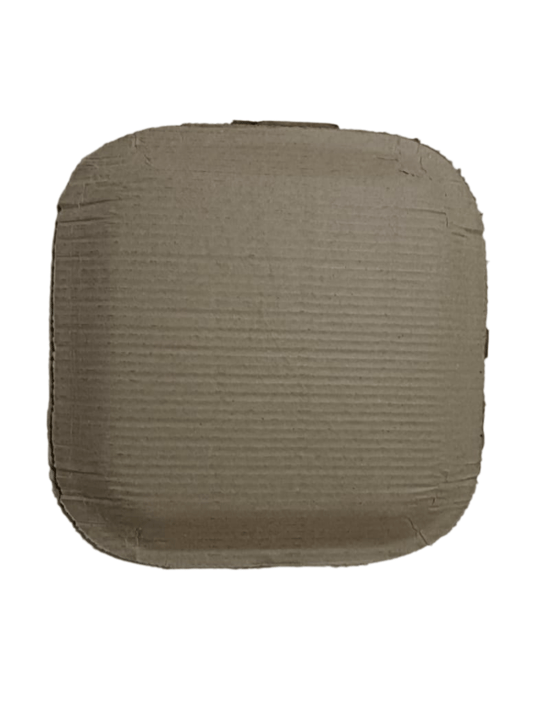 Paper Plates | Disposable Plates | Eco-Friendly Plates | 8 Inches | Pack of 25 view 2