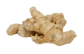 Ginger view 2