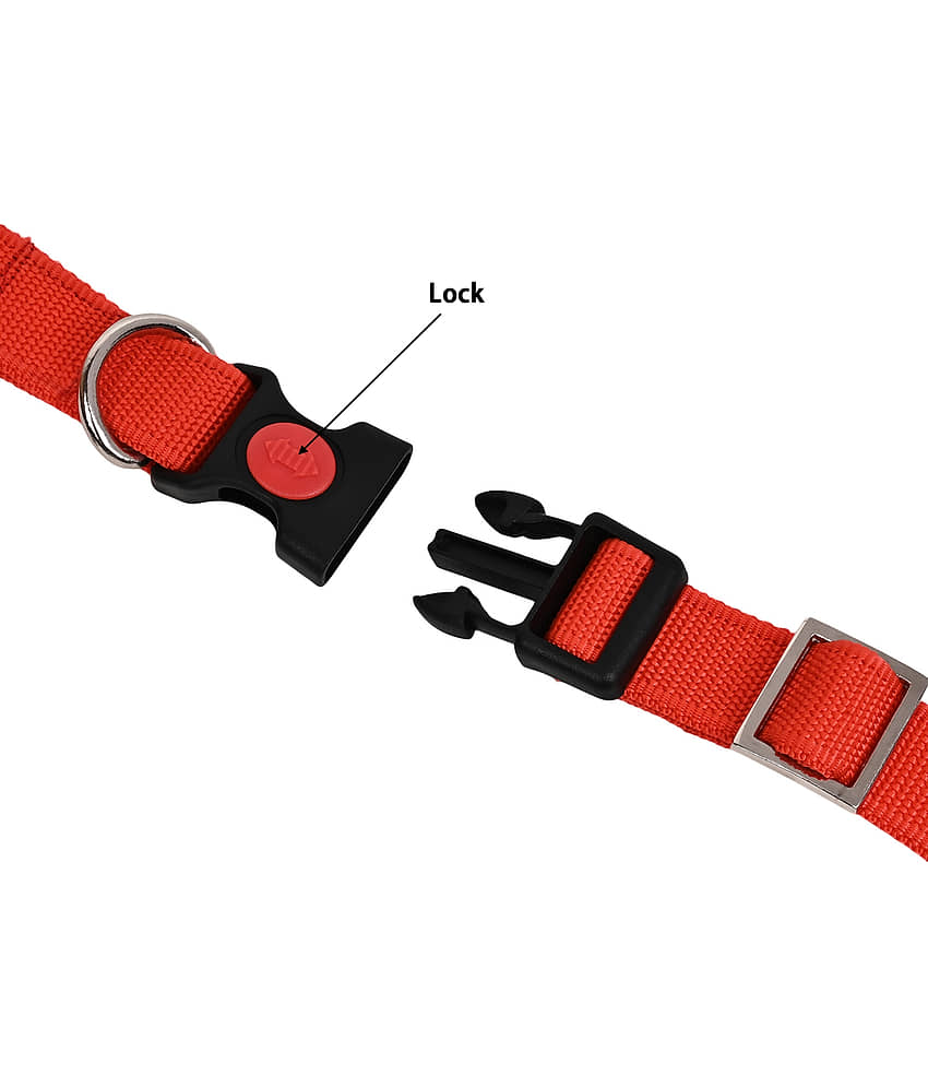 GNS PETS - Fluorescent Orange Collar ( Medium ) view 2