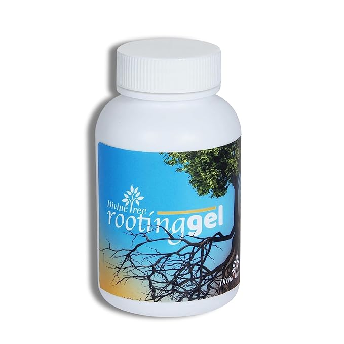 DIVINE TREE Rooting Gel Root Hormone Stimulator for Plants Stronger Roots ((Pack of 2) 100 ml Each) | Fast Root Starter | Rapid Rooting Gel Best for Hardwood, Semi-hardwood and Softwood Plant Cutting