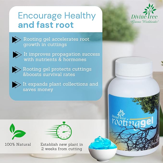 DIVINE TREE Rooting Gel Root Hormone Stimulator for Plants Stronger Roots ((Pack of 2) 100 ml Each) | Fast Root Starter | Rapid Rooting Gel Best for Hardwood, Semi-hardwood and Softwood Plant Cutting view 2