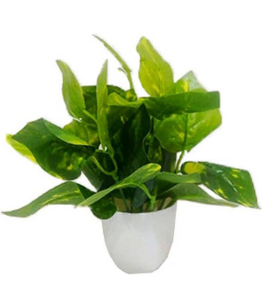 Green plant indoor Artificial Money Plant Bonsai Green Bonsai Plastic - Pack of 1 view 2