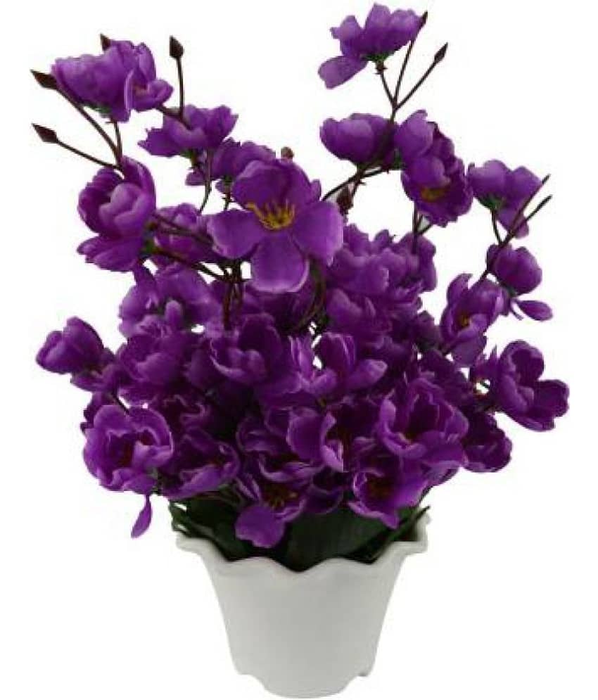 Green plant indoor Orchids Purple Flowers With Pot - Pack of 1 view 2