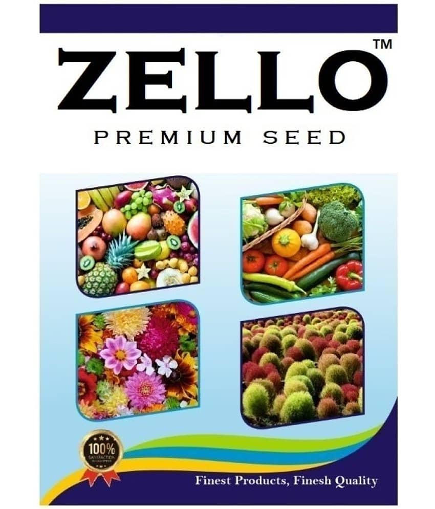 HN organic seed Beans Vegetable ( 50 Seeds ) view 2