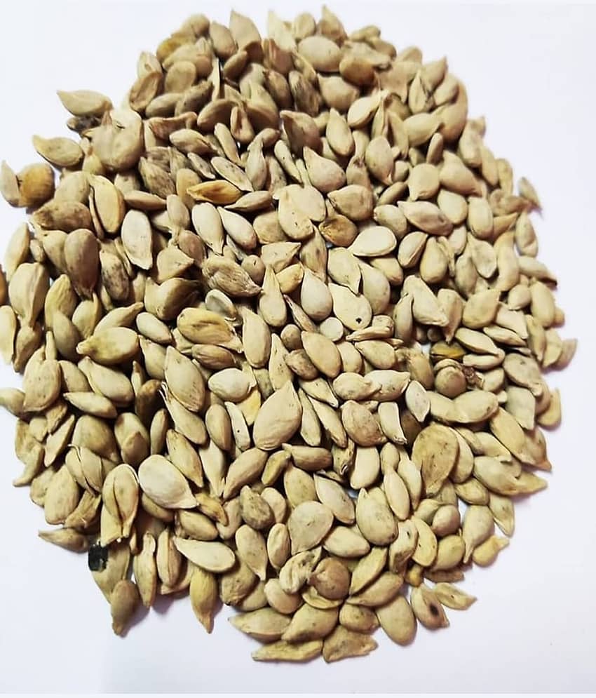 DECORPLIX Lemon Fruit ( 45 Seeds ) view 2