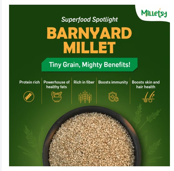 Milletsy Millet Idli Instant Mix Pack of 2 | 200 g each view 2