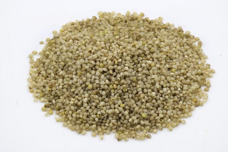 Little Millet Unpolished grains view 2