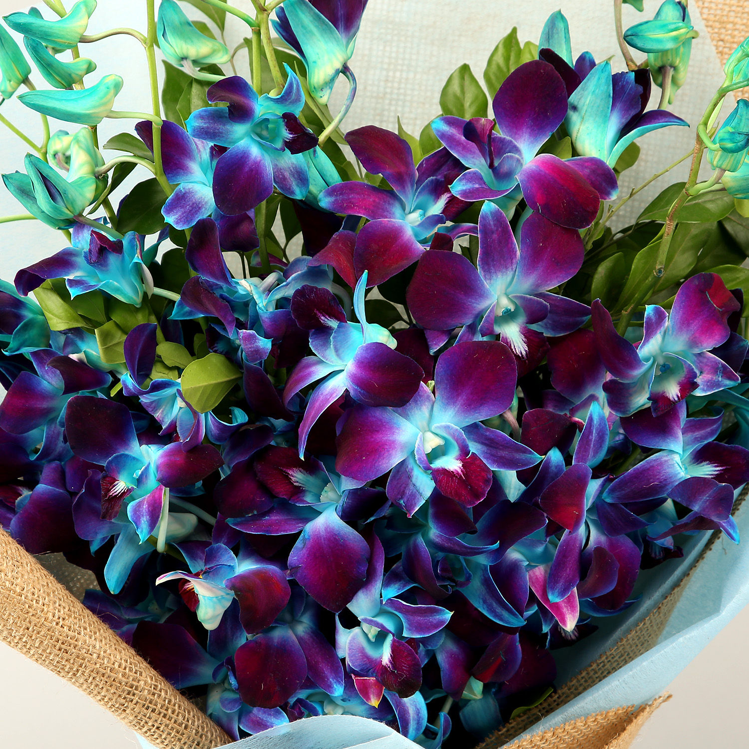 Gleaming Love Orchids Bouquet view 2