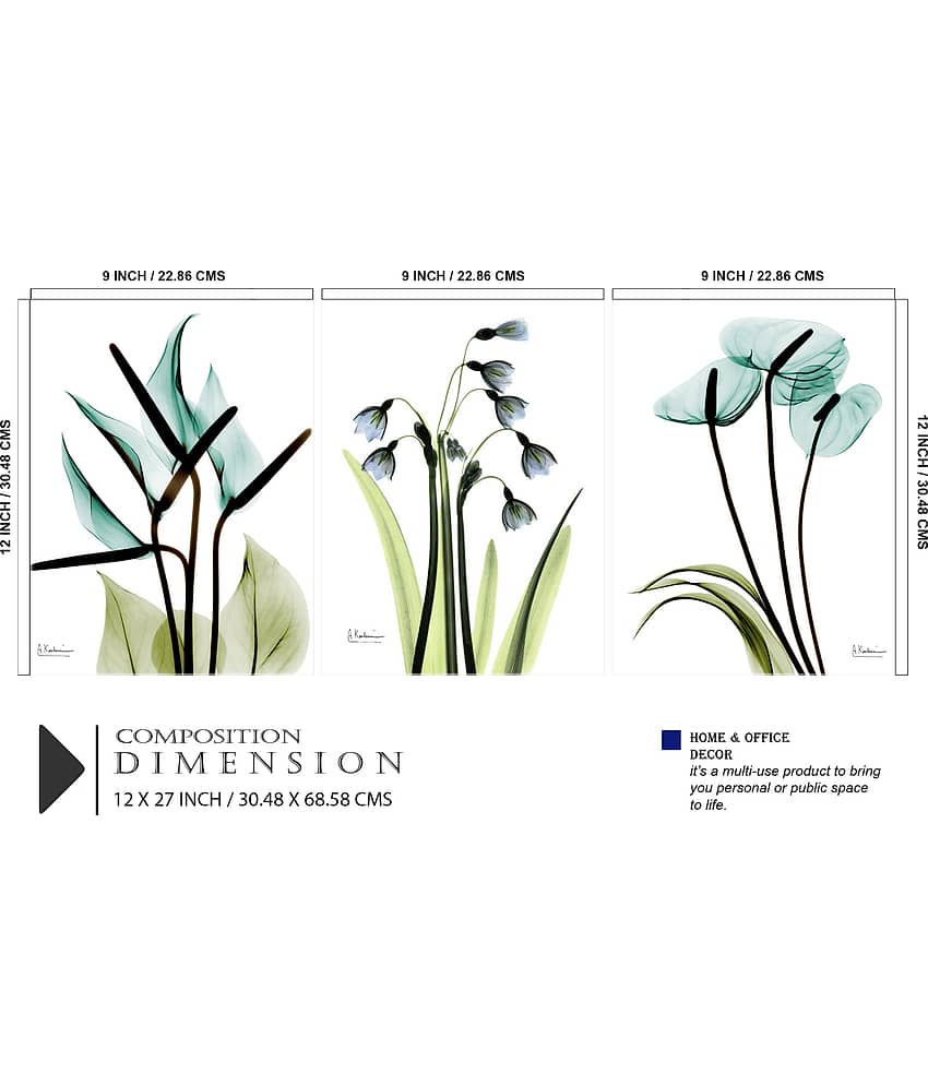 Saf - Art Prints With Frame view 2