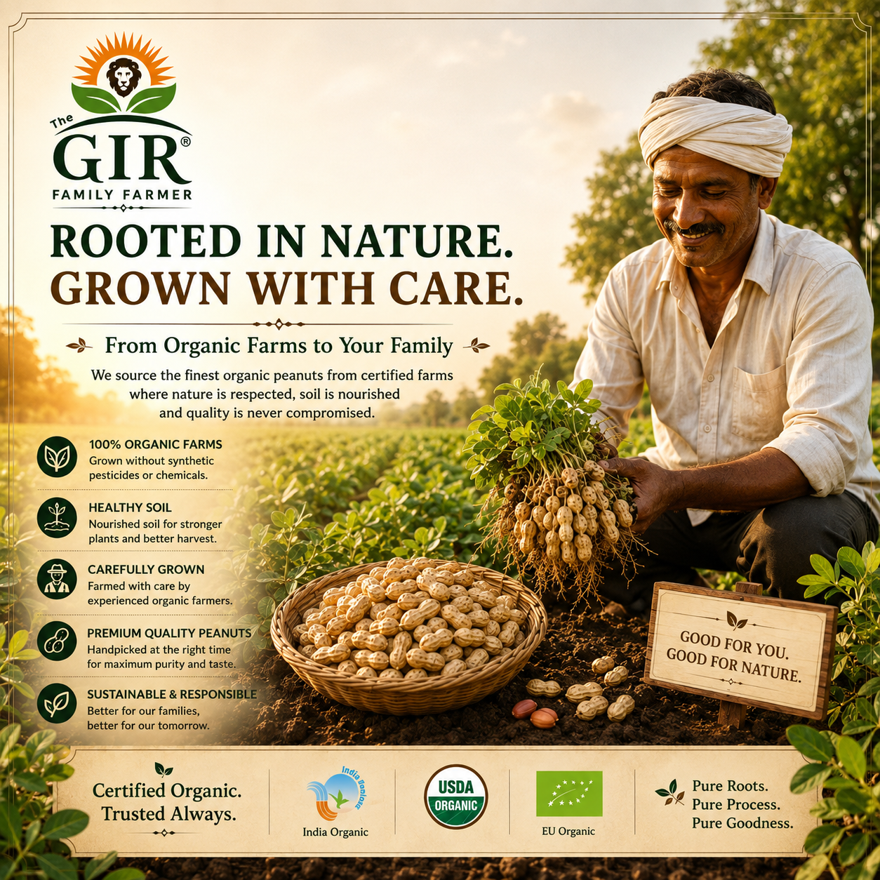 Organic Groundnut Oil - Naturally Pure view 2