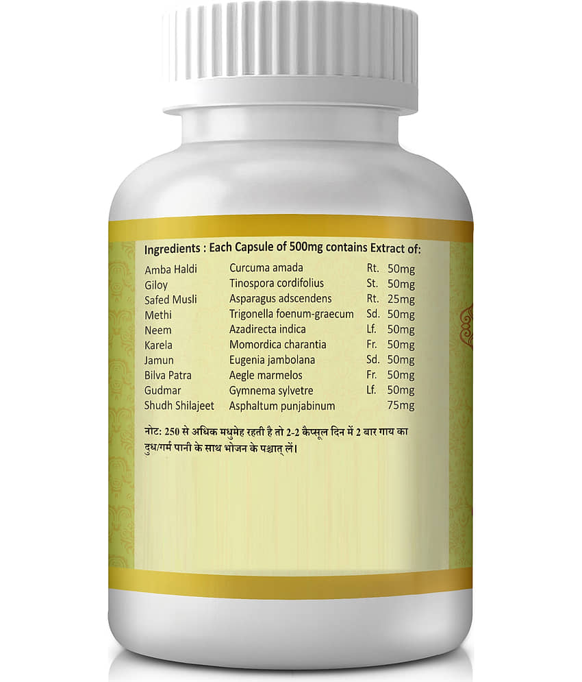 Shuddhi DM Capsules For Diabetic Care, 60 Capsules view 2
