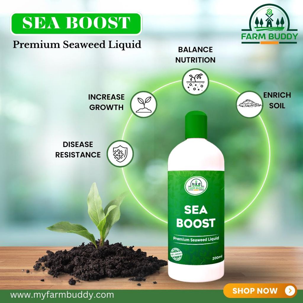 FARM BUDDY Sea Boost Concentrate Liquid Seaweed Fertilizer for All Indoor and Outdoor Plants | Growth Booster for All Plants | 200ML Pack view 2