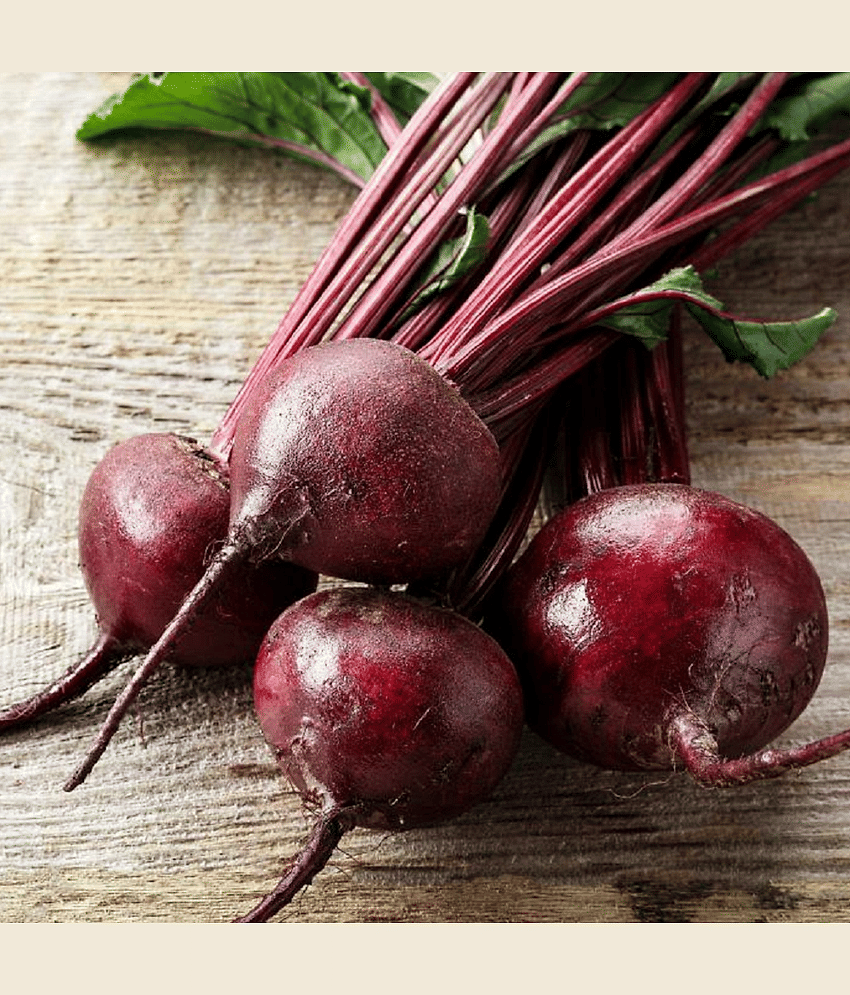 Jignisha Seeds Beetroot Vegetable ( 50 Seeds ) view 2
