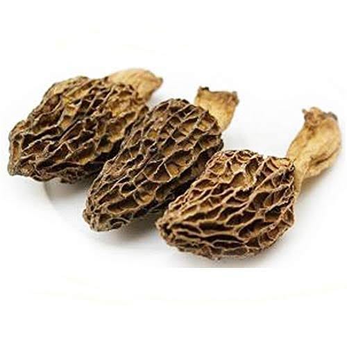 Morel Mushroom view 2